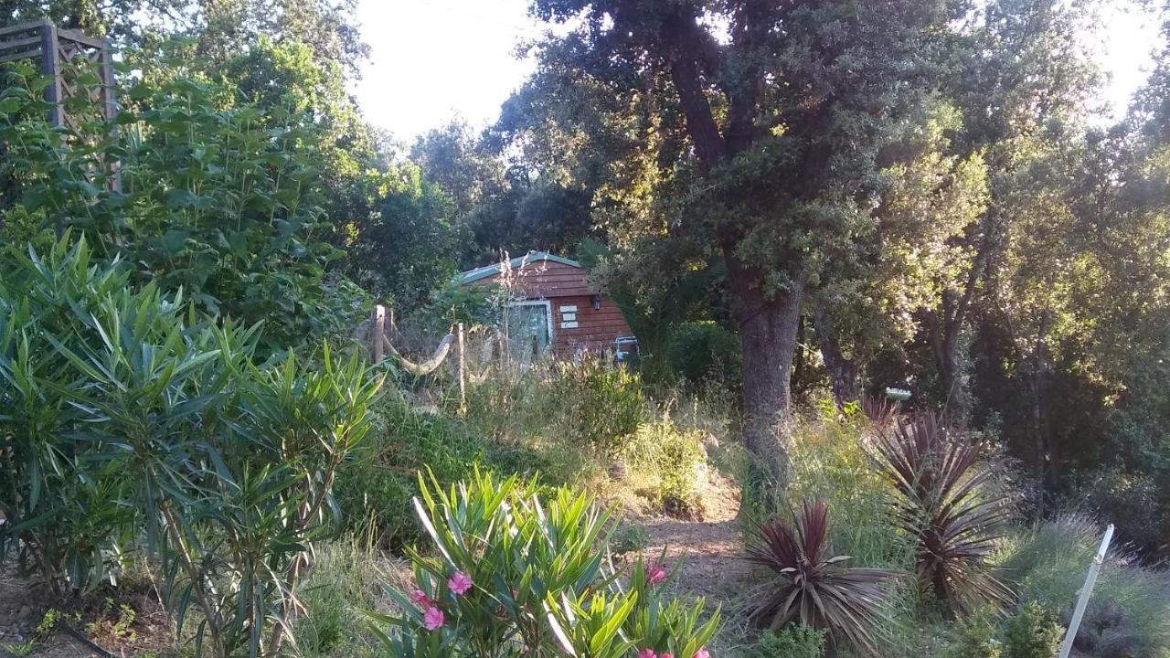 Le Petit Chalet 波尔蒂乔 外观 照片